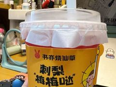 -书亦烧仙草(德州澳德乐店)