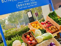 -洪泽湖古堰景区