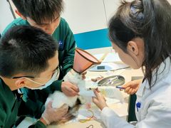 -睿金宠物医院·CT·肿瘤·骨外科