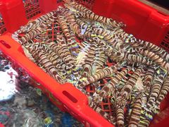 -盒马鲜生(曜一城店)