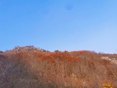 -大连天门山国家森林公园
