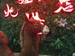 -北疆饭店(大运河博物馆宝龙店)