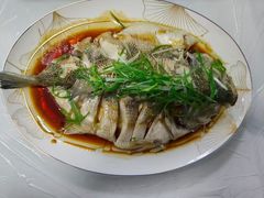 -红蕾家政·保姆·育儿嫂·钟点工