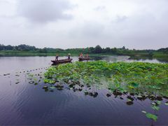 -溱湖国家湿地公园