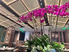 -楚山晓·楚湘菜(江夏永旺店)