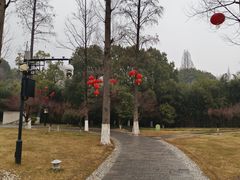-习家池