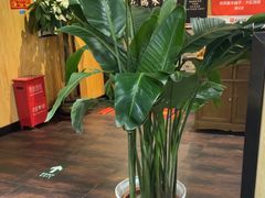 -和庆斋羊蝎子火锅·碳缸烧烤(顺义旗舰店)