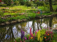 -上海共青森林公园