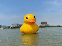 -琅岐红光湖公园