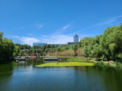 -长春市南湖公园