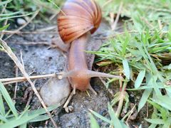 -七星潭蓝天广场