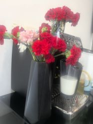 -HaLo hair studio