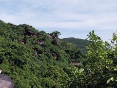 -三亚亚龙湾人间天堂鸟巢度假村
