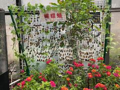 -上海大自然野生昆虫馆