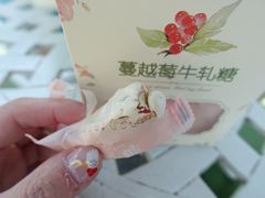 蔓越莓牛轧糖-苏小糖(鼓浪屿三丘田花园店)