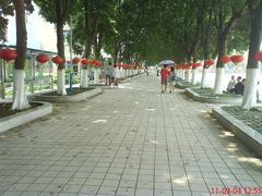 校道-广东食品药品职业学院(龙洞校区)