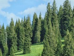 -新疆国际大巴扎