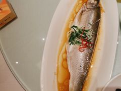 鲥鱼-梦都海鲜酒家(万达广场江桥店)