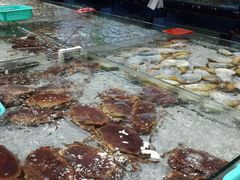 -渔傅·蓝海岸霞浦海鲜(正祥店)