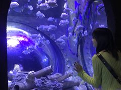 -成都浩海立方海洋公园