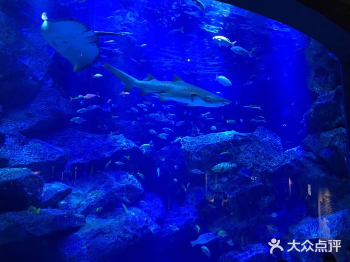 墨田水族馆图片