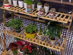 -海底捞火锅(如皋吾悦广场店)