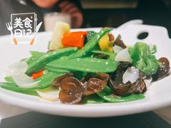 -大树餐厅(益田假日店)