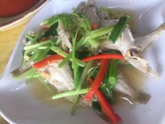 九肚鱼-潮园美食餐厅(张槎店)