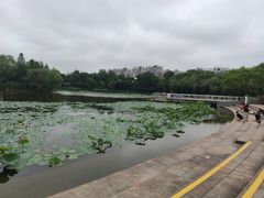 -新江湾城公园