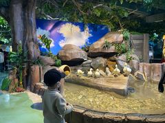 -苏州海洋馆