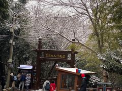 -紫金山天文台