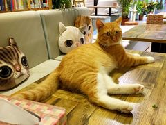 -小时光咖啡馆(开森度假森林店)