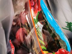 -上海龙吴水胜海发市场