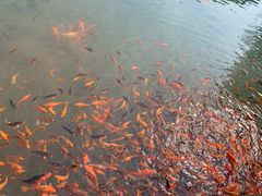 -灵栖洞天