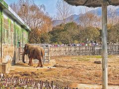 -西安秦岭野生动物园