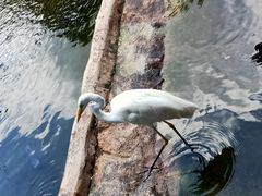 -海南热带野生动植物园