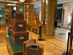 -Goyard 高雅德(国贸商城店)