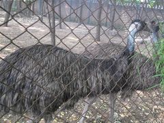 -北京麋鹿生态实验中心