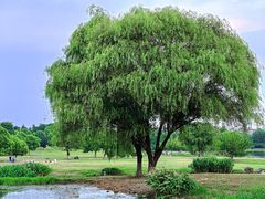 -钟山体育运动公园