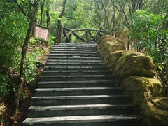 -金鸡山公园