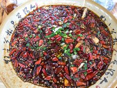 -青城甲(青城山店)