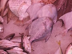 -裕兴酒家·34年老字号