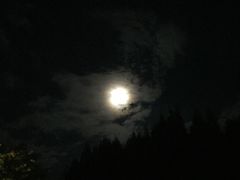 -武陵山森林公园