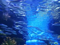 -华夏文旅西安度假区