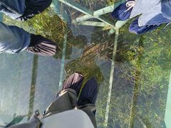 -陶祖圣境风景区