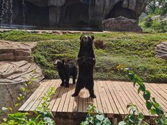 -海南热带野生动植物园