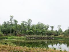 -白鹭湾湿地公园