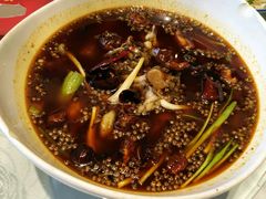 -巴渝菜舍曾氏麻辣风(霸州店)