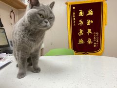 -瑞鹏宠物医院·眼科·皮肤·中兽医(大悦城分院)