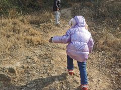 -太子山公园(园东路)